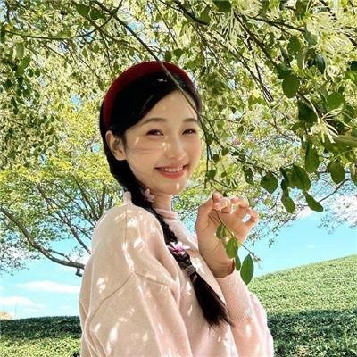 哈利变成树 在线观看