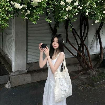 白鹭谣 在线观看